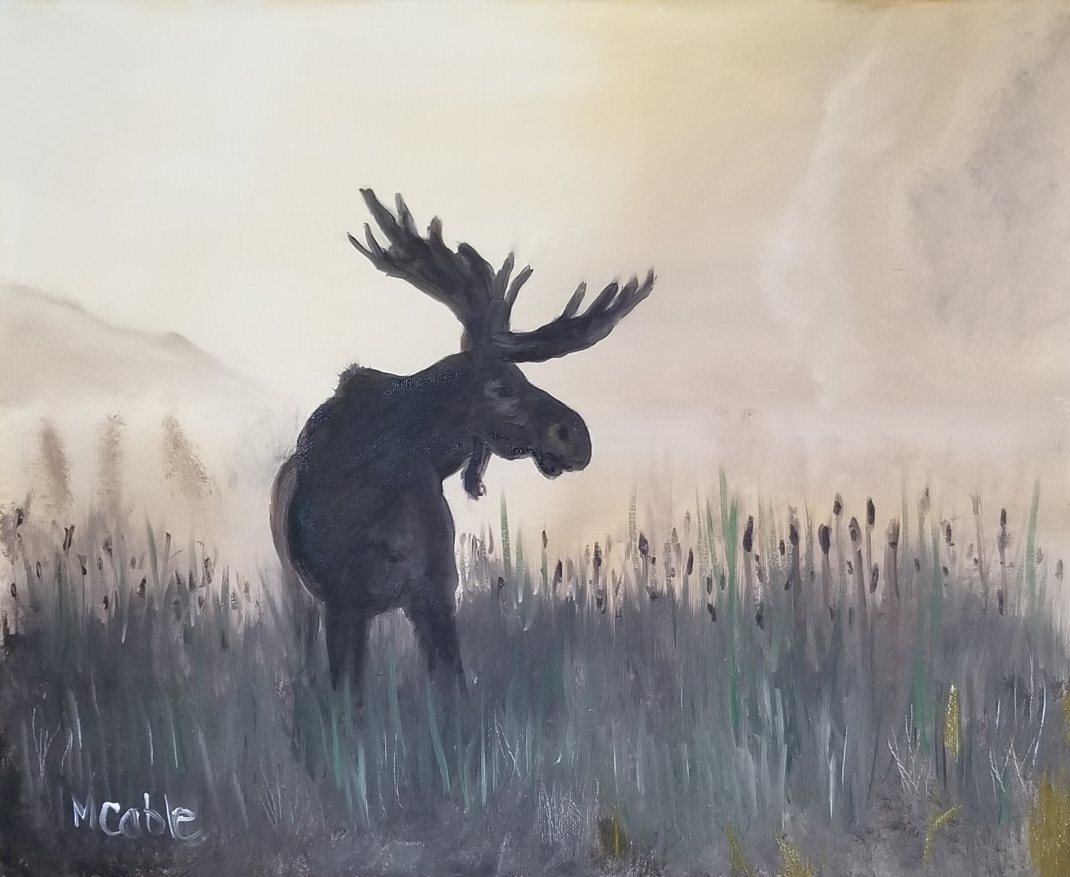 Moose in the reeds