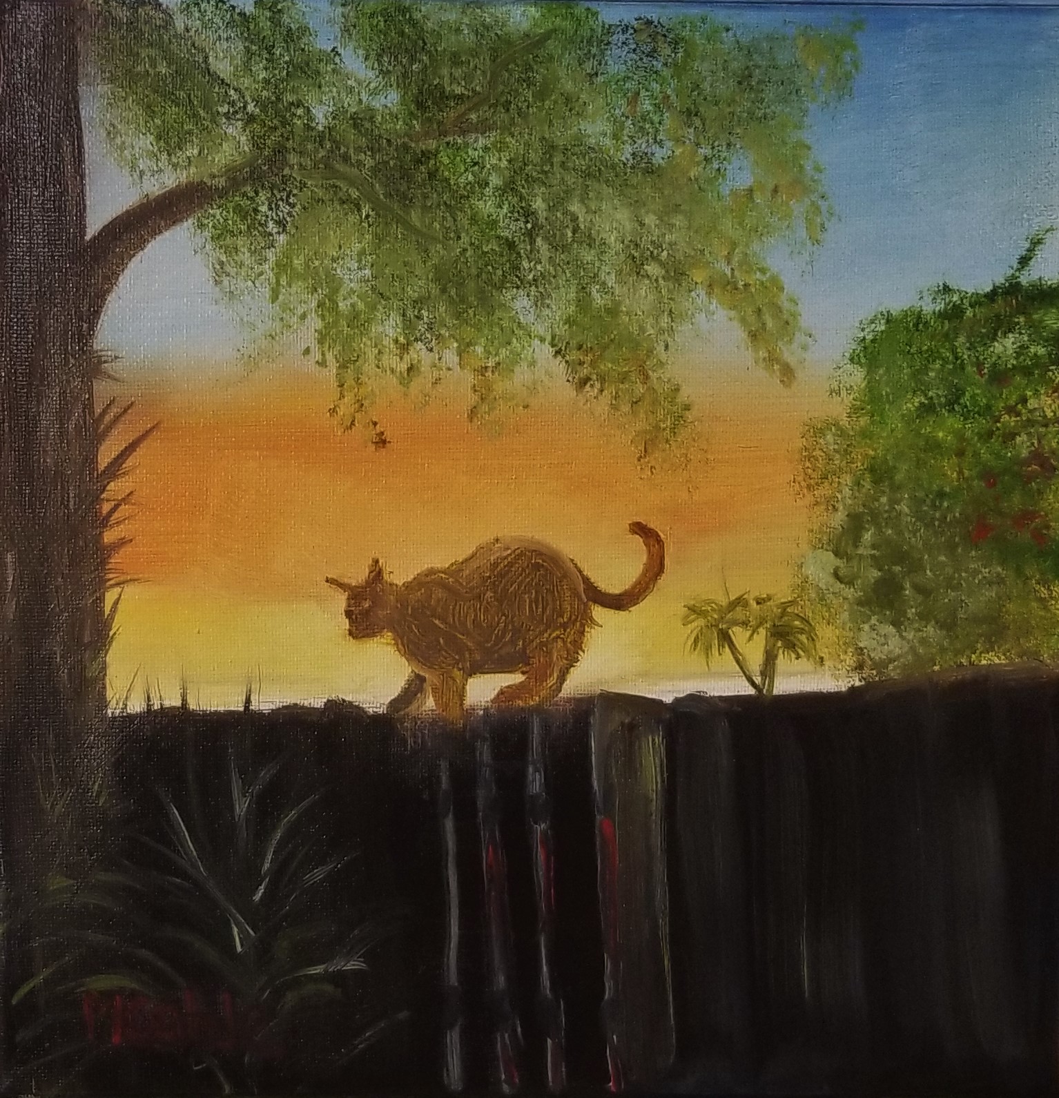 Cat on the Prowl